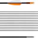 31" Training Arrows-Archery Practice Target Arrows for Youth or Beginners