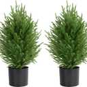 Palonu 2 Pcs 2Ft Christmas Norfolk Pine Potted Trees, 24" Realistic Artificial Norfolk Tree with Pot Faux Greenery UV Resistant Fake Plants for Tabletop Front Porch Indoor Outdoor Home Dcor