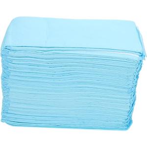 NOLITOY 40pcs Pet Pee Pads Super Absorbent Dog Training Mat for Use Leakproof Disposable Pads for Needs