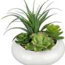 Large Artificial Succulents Plants Faux Succulents in Pots Fake Succulent Arrangement Potted Plants with White Ceramic Pot for Office Desk Bathroom Shelf Living Room Indoor & Outdoor Home Decor