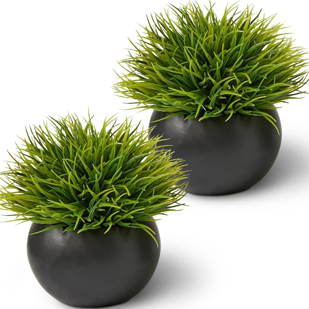 SEEKO Succulents Artificial Plants (2 Pack) Indoor Fake Desk Plants for Shelf Decor (2 pk, Black)
