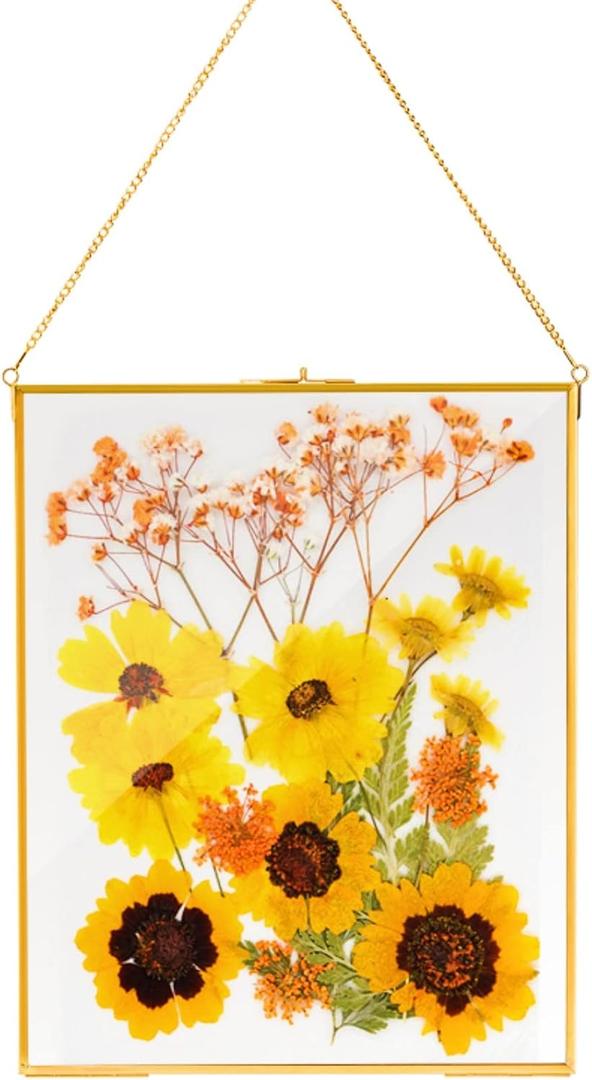 AVLA Brass Hanging Photo Frame, 11x14 Inch Double Glass Floating Display for Pressed Flowers, Large Picture Artwork, Golden Gallery Wall for Specimen, Certificate, Home Decor