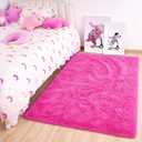 Noahas Fluffy Hot Pink Rugs for Bedroom Girls,Door Mat Indoor Entrance,2x3 Shaggy Small Non-Slip Entryway Entry Area Rugs,Soft Plush Bedside Throw Kids Carpet Home Decor (2' x 3')