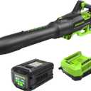 Greenworks 80V (700 CFM / 170 MPH) Brushless Cordless Leaf Blower (Turbo Button, Cruise Control, 26 CC Gas Equivalent), 2.5Ah Battery (200 Wh Max) + Rapid Charger