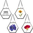 JuxYes Set of 4 Hexagon Mini Brass Wall Hanging Photo Frame, Golden Glass Hanging Picture Artwork Display Frame, Double Glass Floating Frame Style Gallery Wall Frame for Picture, Poster, etc (Black)