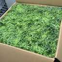 Grooy 20"x20" Artificial Hedge Grass Wall, 12PCS Boxwood Panels(33.33 sq.ft), Greenery Backdrop Panles, UV Protected Privacy Fence Screen, Green Wall Decor for Outdoor Indoor Wedding Dcor
