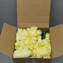 Janinka 100pcs Artificial Tulip Flowers Fake PU Tulips Faux Latex Bouquet Flower Centerpieces Arrangement Floral for Wedding Spring Decorations (1 Head,Light Yellow)