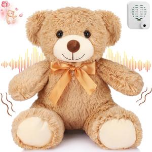 Liliful Graduation Gifts Bear Stuffed Animal with Voice Recording 12 Inch Recordable Bear Plush 30 Seconds Voice Recorder Stuffed Animal Gifts for Birthday Memorial Remembrance