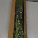 20 Pcs Christmas Norfolk Pine Branches -18" Real Touch Artificial Norfolk Pine Branch Faux Plants Stem Fake Greenery Pine Picks for Vase DIY Crafts Garland Wreath Home Indoor Outdoor Decoration