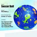 Richball Toddler Soccer Ball Size 2, Kids Soccer Ball for Ages 3-5, Outdoor Activity Toy for Kids Age 1-3 3-6, Christmas Stocking Birthday Easter Gifts