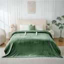 Electric Heated Blanket Queen Size, Dual Control Fast Heating Sherpa Blanket, 8 Heating Levels & 10 Hours Auto Off, Machine Washable with ETL & FCC Certified, Green