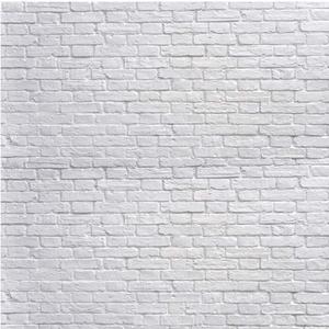 SJOLOON White Brick Wall Backdrop White Brick Photo Backdrop Thin Vinyl Photography Background Studio Prop 10931 (10x10FT)
