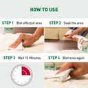 Natures Miracle Urine Destroyer Plus Dog, 32 Ounces, Enzymatic Formula, Ready-to-Use (32 Fl Oz (Pack of 1))