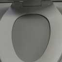 American Standard 5503A00B.020 Transitional Elongated Toilet Seat Soft Close, White