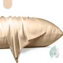 100% Mulberry Silk Pillowcase 2 Pack,Queen Size Silk Pillow Cases for Hair and Skin,Silky Smooth Bed Pillow Cover with Hidden Zipper,Natural Silk Pillow Case Set of 2 (Champagne, Queen 20X30)