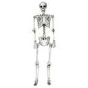 65-in White Skeleton Ornament for Indoor/Outdoor Halloween ...