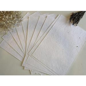25 x A5 Plantable Seed Paper/Card - Print at Home Craft Paper with Wildflower Seed Mix