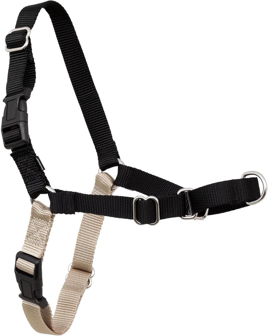 PetSafe Easy Walk Harness for Dogs - Pull-Free Walks - Patented Martingale Loop Design - Front Chest Leash Attachment - Comfort Straps - Breathable Harness Design - Petite/Small, Black/Silver
