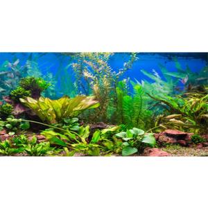 AWERT 36x18 inches Aquarium Background Aquatic Plant River Bed and Lake Fish Tank Background Vinyl, 36x18in/90x45cm