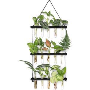 Mkono 3 Tiered Wall Hanging Plant Terrarium with Wooden Stand Mini Test Tube Flower Vase Glass Planter for Hydroponic Plant Cutting Home Garden Office Decor Gift (Medium, Black)