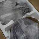 Homtone 16 Cup Food Processor, Large 11-in-1 Heavy Duty Food Processors and Blender Combo- 5 Preset Modes for Chopping,Shredding, Slicing, Kneading, Blending, Stepless Speed Control, 650W, Silver