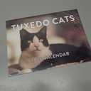 Tuxedo Cat Calendar 2026 Monthly Wall Calender 12 Month Gifts For Tuxedo Cats Lovers| American Made In The USA