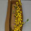 DILATATA Artificial Forsythia Flowers 31.5" Fake Forsythia Stem 5PCS Silk Yellow Winter Jasmine Branches Artificial Orchids Flower for Home Wedding Indoor Floral Arrangement Kitchen Office Decoration