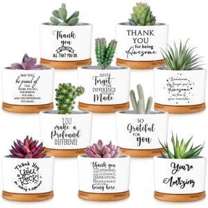 Yaomiao 30 Pcs Thank You Employee Appreciation Gifts Bulk Succulent Plant Gifts for Women Ceramic Pot Succulent Flower Pots with Bamboo Tray Thank You Gift for Coworkers Teachers Nurse Volunteer