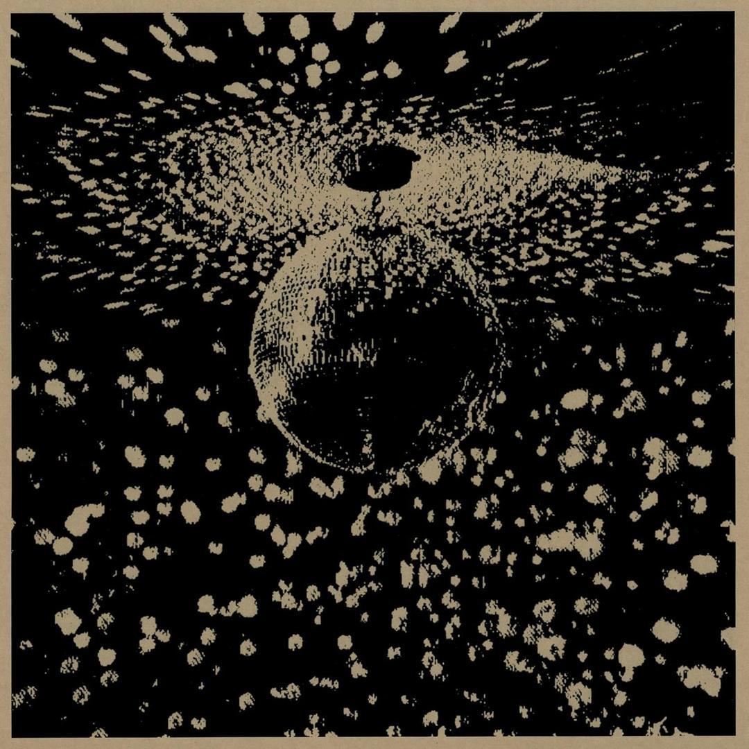 Mirror Ball, Vinyl 
