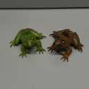 Realistic Tree Frog Figure Plastic Hand Painted Bullfrog Figurine Educational Rubber Animal Model Toys for Kids Children (Green and Brown)