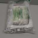 JONES CLOCKS Movie Wall Clock | Retro Rectangular Clock | 10 inch | White | Cool mid-Century Designer Look for Kitchen, Living Room or Office