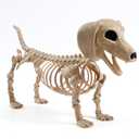JOYIN Wiener Dog Skeleton, Halloween Decorations with Movable Joints for Graveyard Scenes Haunted House Prop Party Decor Spooky Indoor Outdoor Decorations