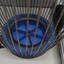 Zozen Nut Gatherer, Acorn Picker Upper, Pecan Picker Upper - Side Opening Dump, Apply to Acorns, Pecans, Buckeyes, Hickory Nuts, Nerf Balls, Golf Balls