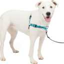 PetSafe Easy Walk Deluxe Dog Harness, No Pull Dog Harness  Perfect for Leash & Harness Training  Stops Pets from Pulling and Choking on Walks  Medium/Large, Ocean