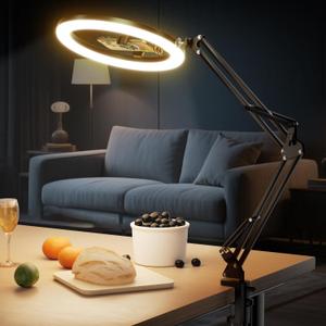 UBeesize 12 Ring Light with Overhead Phone Mount, LED Selfie Light with Stand and Phone Holder for iPhone and Laptop, Desk Light for Video Recording, Zoom Meeting, Live Streaming, Tiktok, YouTube