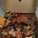 22 Inch Fall Wreaths for Front Door Outside Timer Function Pinecones Berries Autumn Fall Wreaths with 30 Warm Lights Decorations for Home Wall Porch Door Yard Harvest Mantle Fireplace Window Decor (Fall Orange-245)