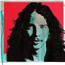 Chris Cornell Double vinyl