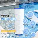 Swimming Filter Cartridge 120 Sq. Ft. (2 Pack) Filter Replacement C1200 C1200 C-8412 CX1200RE FC-1293 PCCF-125 817-0125N
