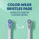Spinbrush New PRO Clean Replacement Heads, Electric Toothbrush Refills, Soft Bristles, 2 Count