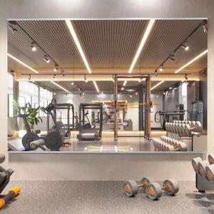 67 x 24 in Home Gym Mirrors, Frameless, 3-Pack
Tempered Glass, Full Body View, Wall Mounted for Yoga, Exercise, Dance Studio