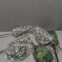 40 Pcs Artificial Greenery Eucalyptus Stem Silver Dollar Leaves Baby Eucalyptus Leaves Suitable for Family Wedding Vase Centerpieces Bouquet Flower Arrangement