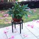 Zhongma 1 Pack 11.8" Sturdy Potted Plant Stand Flower Pot Holder Heavy Duty Construction, Low Plant Stand for Home Indoor and Outdoor, Sturdy plant riser and saucer without Installation Required