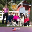 Evanger's Organics Beef Dinner for Dogs  12 Count, 12.5 oz Each  Qualified Organic, Grain Free, GMO Free  Nutrient-Dense Recipe with Organic Vegetables  Wet Dog Food