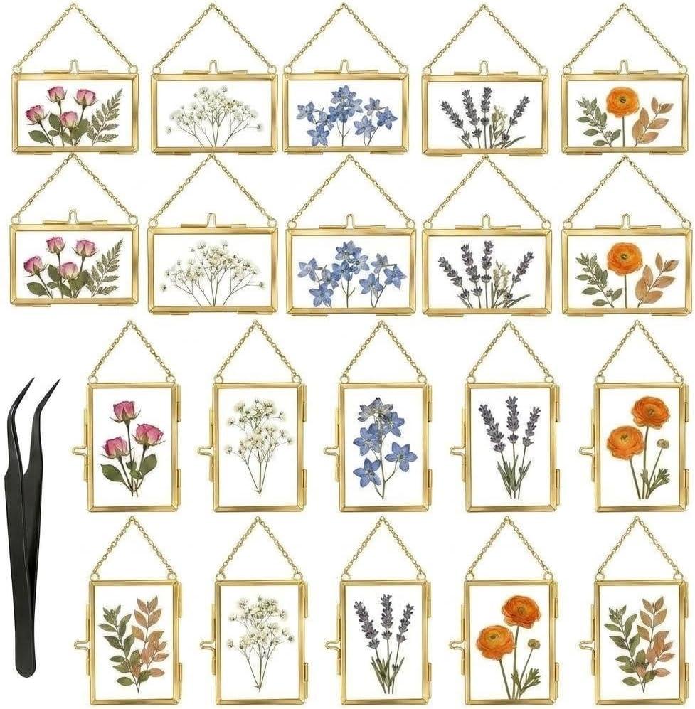 20 PCS Pressed Flower Frames with Tweezers,Wall Hanging Double Glass Frames 2.5x3.5 with Metal Chain for Dried Plants,Floating Photo Frame for Gallery Artwork, Horizontal Vertical,Gold