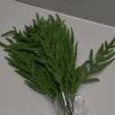 24Pcs Norfolk Pine Branches Stems 13.5" Artificial Pine Needles Sprigs Norfolk Pine Garland Accessories Vase Fillers Winter Fake Christmas Tree Picks Greenery Sprays for DIY Wreaths (24, Green)