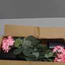 2Pcs Geranium Potted Artificial Flowers in Pots, Faux Outdoor Plants Realistic Geranium, Decorative Fake Potted Plants for Patio Garden Home Decoration, UV Resistant Artificial Flowers 16"Tall (Pink)