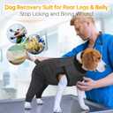LelePet Dog Recovery Suit for Rear Legs to Stop Licking Hind Legs Abdomen Wounds, Dog Onesie for Surgery Female Male,Dog Pants to Prevent Licking for Small to Large Dogs, Cone Alternative (XS-3XL) (2XL, Gray)