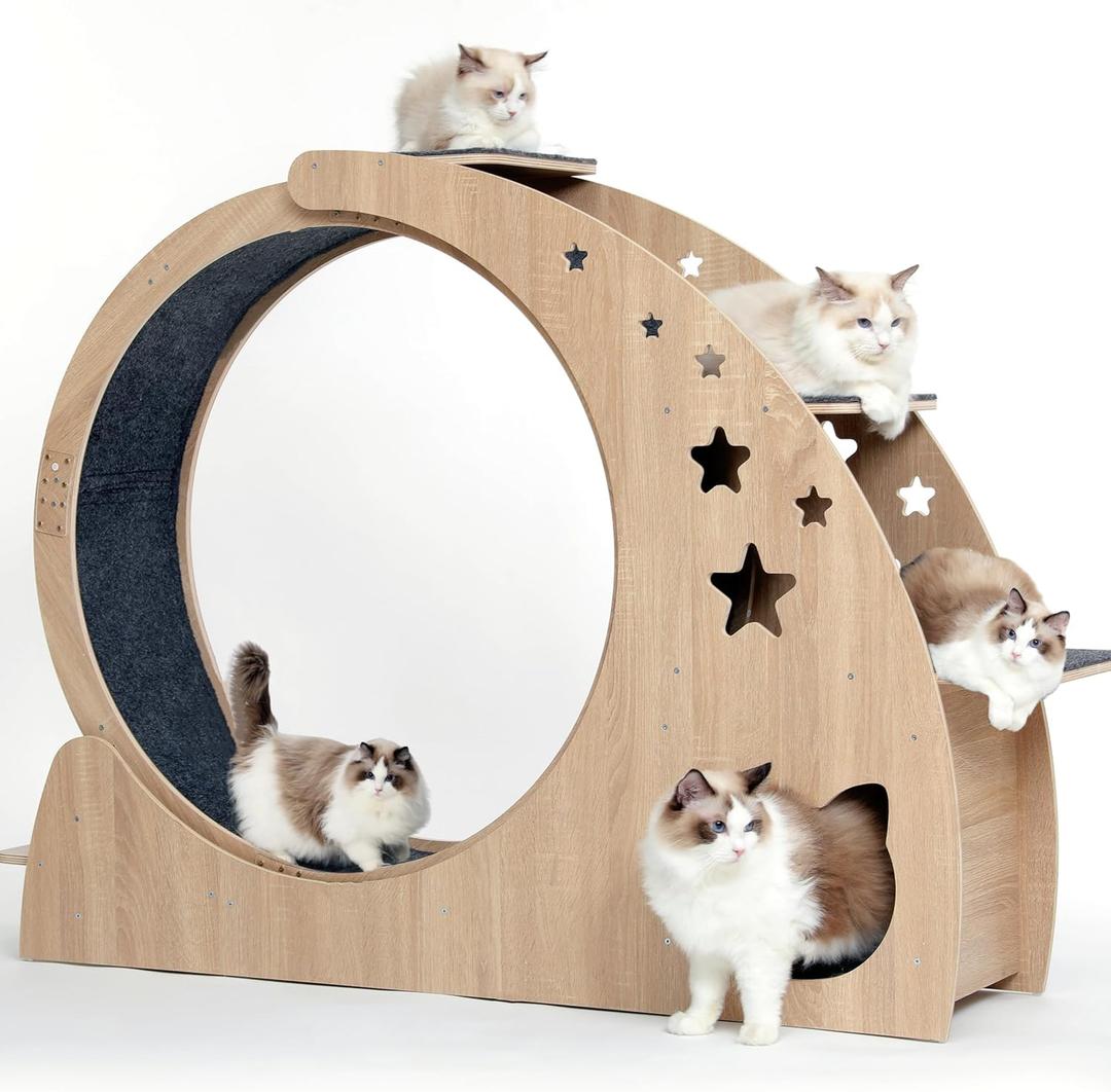 5-in-1 Cat Wheel,Cat Exercise Wheel,41.3" High Large Cat Wheels for Indoor Cats,Cat Treadmill Running Wheel for Indoor Cats with Silent Wheel,Cute Furniture Toys (Grey)