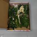 VAIPI 10 Pack Dried Flower Bouquets Green Series Natural Dried Plant with Stem Mini Flower Bundles Artificial Eucalyptus for Vase, DIY, Farmhouse Decor,Wedding Crafts,Home Party Fake Plant Decor