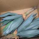 Artificial Agave Plants Outdoor,22”UV Resistant Fake Silk Plants with 23 Lifelike Leaves,Faux Yucca Floor Plants for Home Front Porch Patio Office Door Step Hotel Desert Style Decor 2Pack